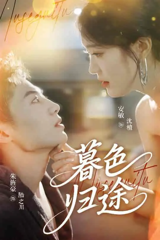 暮色归途：一个关于救赎与心灵回归的感人冒险