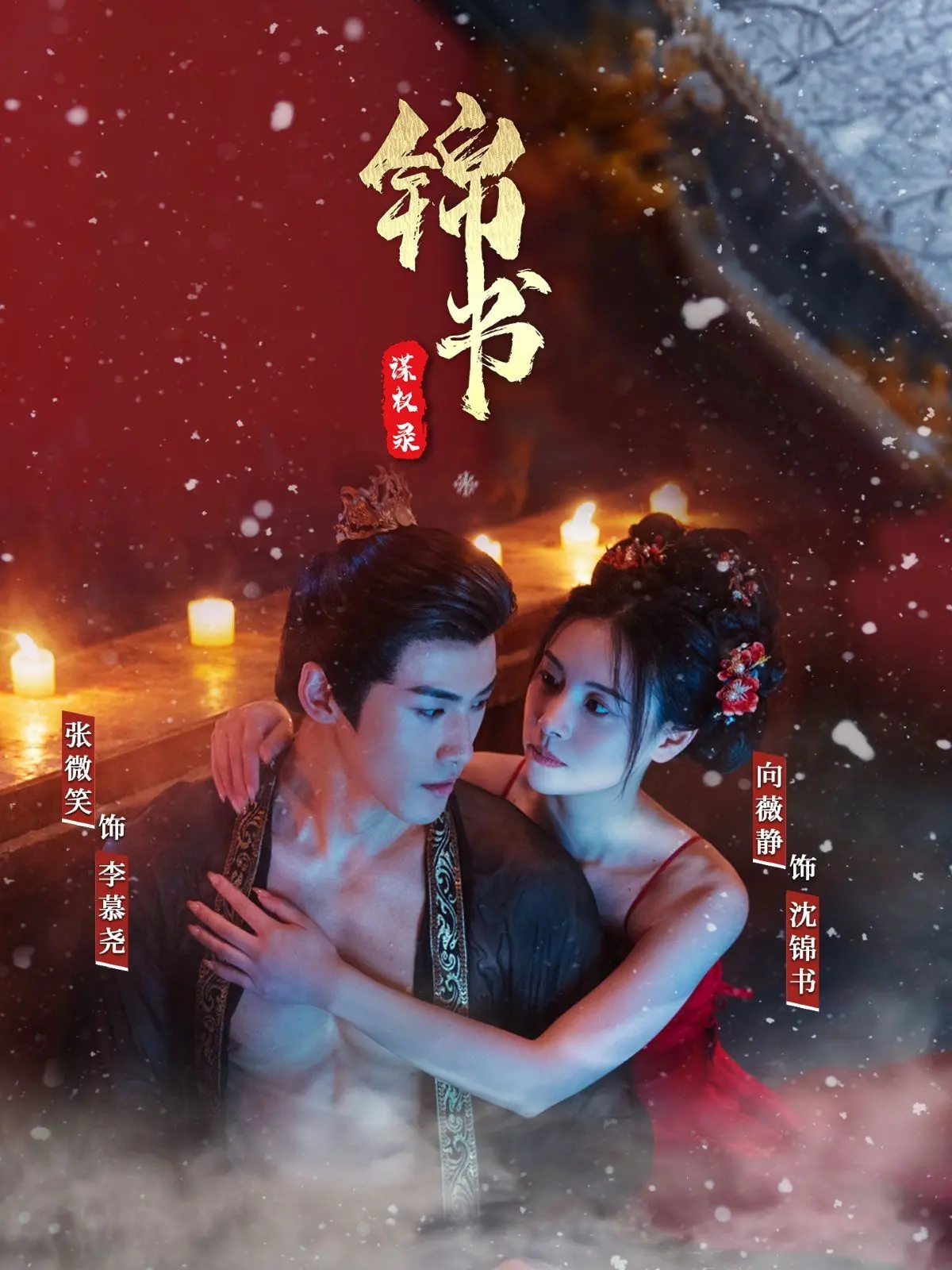 《锦书谋权录》：智谋女子搅动朝堂风云，权谋与爱情交织的古装大戏！