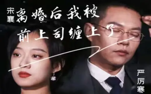 《离婚后我被前上司缠上了》：职场情场双重奏，破镜能否重圆？看她如何绝地反击！