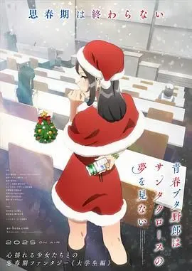 《青春猪头少年不会梦到圣诞服女郎》：一场关于成长、羁绊与自我救赎的冬日奇迹